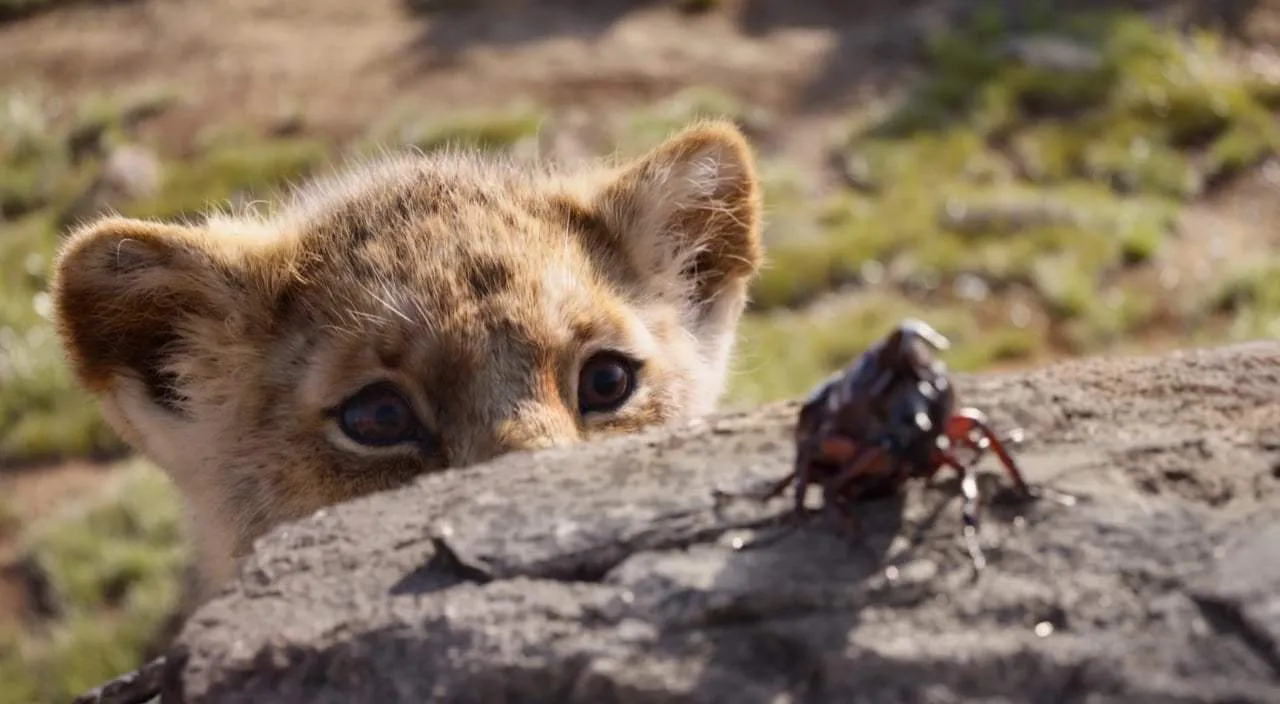 CGI Artist: a still from The Lion King (2019)